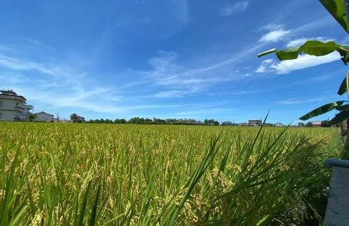 Dongshan House | Relax at Leshanshui Leisure Farm Homestay with Breakfast