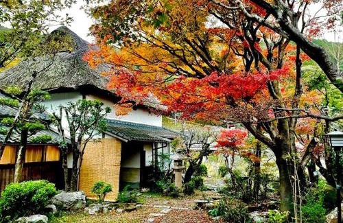 Saga House | Private Sauna Retreat at 洋々庵: Perfect for Families & Pets