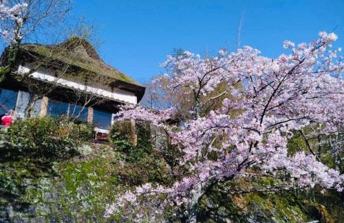 Saga House | Private Sauna Retreat at 洋々庵: Perfect for Families & Pets