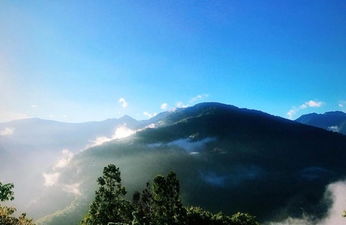 Fuxing District House | Family-Friendly Retreat at Lala Mountain Bear Farm