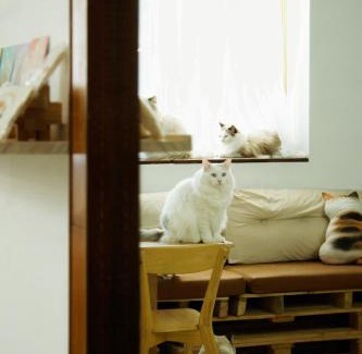 Taitung City Centre House | Relaxing Retreat at 癒室Healing Space台東縣民宿