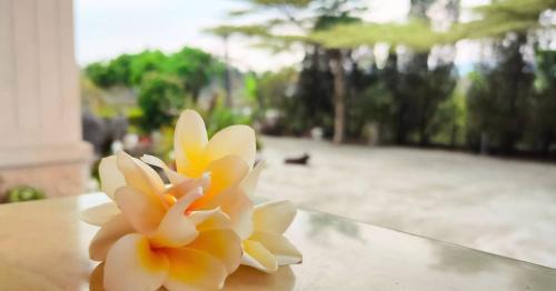 Shanlin District House | Experience Elegance at 登雲villa with Pool & Breakfast