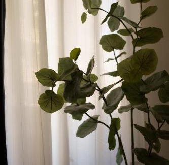 Naka Ward Apartment | Child-Friendly Freedom Awaits at 自由自在OSU 402(KUMO)