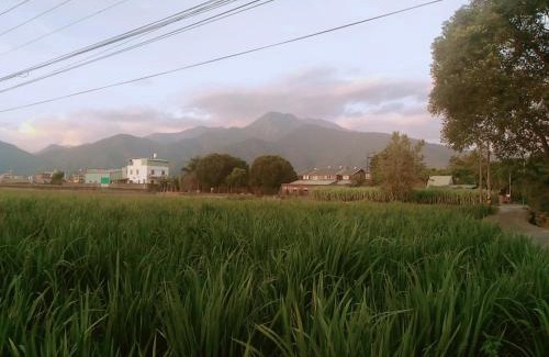 Puli House | Cozy He Tian B&B with Café & Bar and Breakfast Included