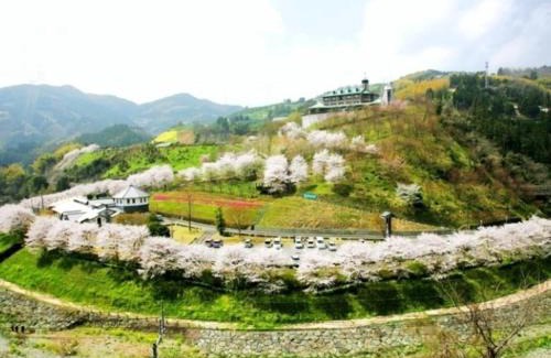 Ehime Prefecture Hotel | Flower Forest Hotel: Family-Friendly Dining Awaits You