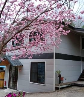 Fuxing District Other | Experience Comfort at 薔薇谷 民宿字108號 - Guest Rated 9/10