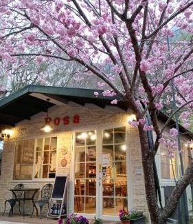 Fuxing District Other | Experience Comfort at 薔薇谷 民宿字108號 - Guest Rated 9/10
