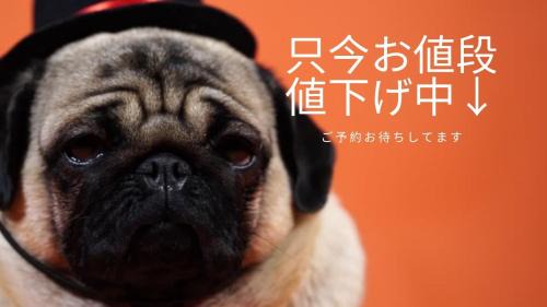 Susukino Apartment | Convenient Stay at IK Minami 6 Jo Residence, Near Station