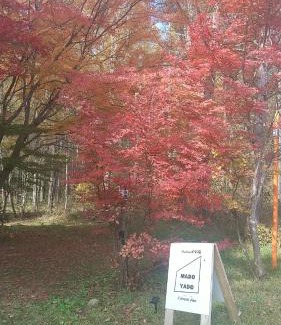 Nagano Apartment | Pet-Friendly Retreat at Madoya: Loiseau bleu Iizuna