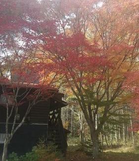 Nagano Apartment | Pet-Friendly Retreat at Madoya: Loiseau bleu Iizuna