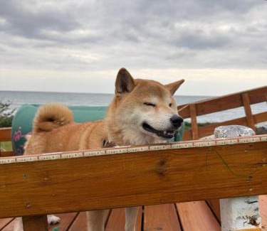 Shoufeng House | Sea-Hi B&B: Beachfront Escape with Ocean Views & Breakfast