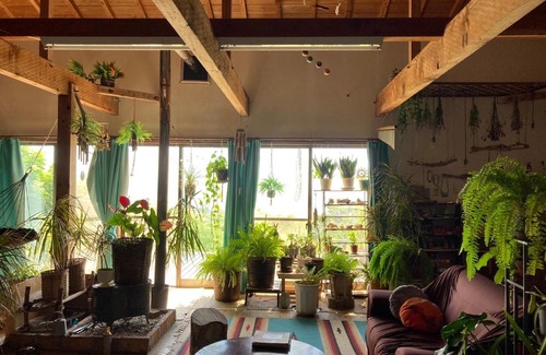 Hachijo House | Galaxy Guesthouse: Highly Rated Stay with Breakfast Included