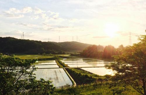 Kanazawa Hotel | Discover 銭がめ: Your Ideal Budget-Friendly Getaway