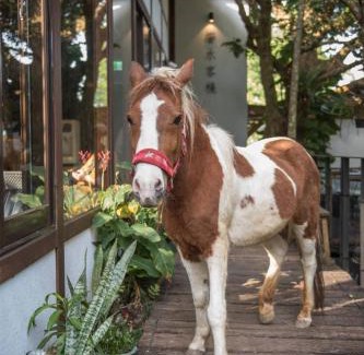 Gongguan House | Relaxing Getaway at 響水客棧 with Pet-Friendly Amenities