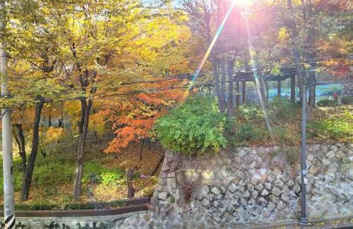 Seogang-dong Apartment | 공원, Hongdae park forest