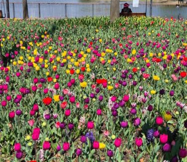Banghwa-dong Apartment | Ideal Stayseeu - Seoul Botanic Park with Breakfast Included