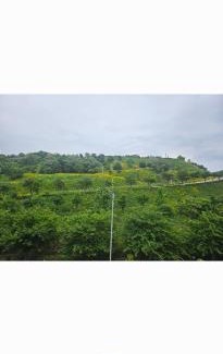 Yeosu Apartment | 여수호텔 퍼스트시티 429호 더블 하프오션뷰