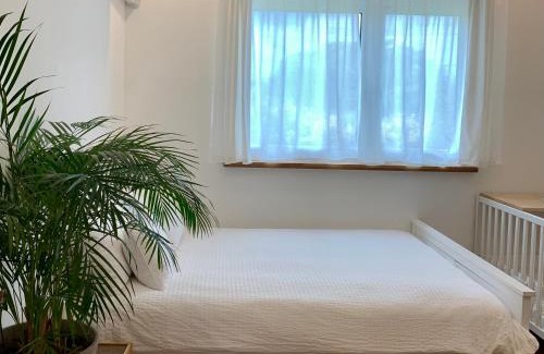 Jocheon House | Relaxing 4-Bed House near Hamdeok Beach with Ocean Views