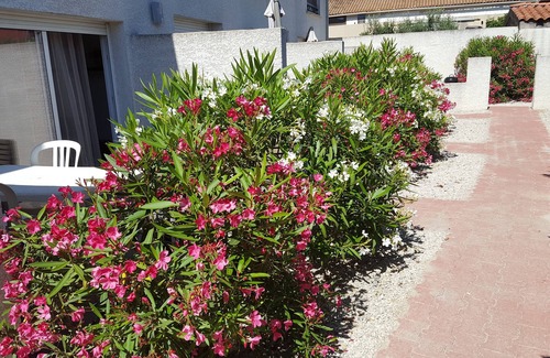 Lattes Apartment | Spacious Garden Residence with Pool & Pet-Friendly Amenities