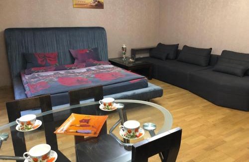 Cherkasy Apartment | Cozy Studio Apartment Near Dniproplaza Shopping Center
