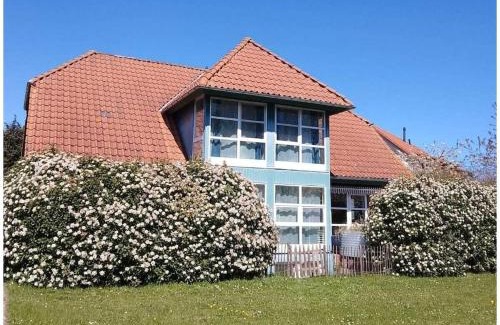 Putgarten House | 1-bedroom apartment