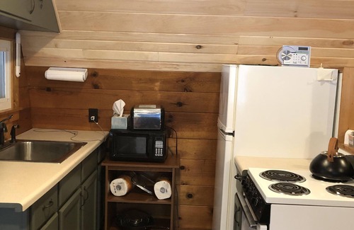 Newaygo Cabin | Inviting Cabin with Fast WIFI and Lake Access for Enjoyment
