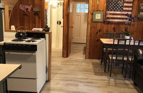 Newaygo Cabin | Inviting Cabin with Fast WIFI and Lake Access for Enjoyment