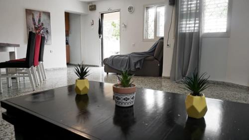 Ma'alot - Tarshiha Apartment | Inviting 1 Bedroom House: Pet-Friendly Comfort Awaits