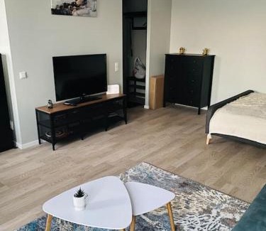 Maskavas Forstate Apartment | Exceptional 1-Bedroom Loft in Siena Tirgus - Family Friendly