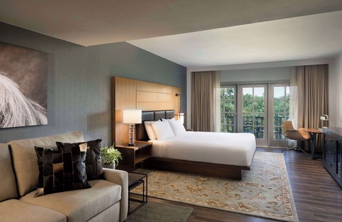 West San Antonio Hotel | Discover a Stylish 1-Bedroom Suite at Premier Hotel