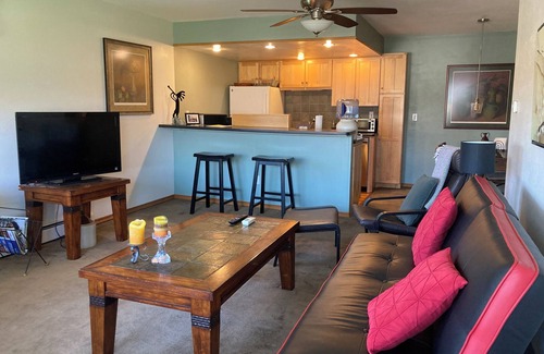 East Boulder Condo | 1-BR BRIGHT & CHARMING APT NEAR CU AND DOWNTOWN