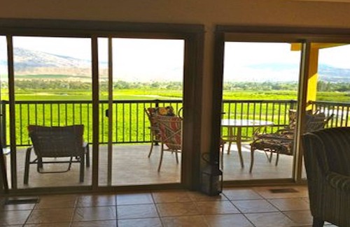 Okanagan-Similkameen House | Idyllic 1 BR Guest House with Pool and Vineyard Views