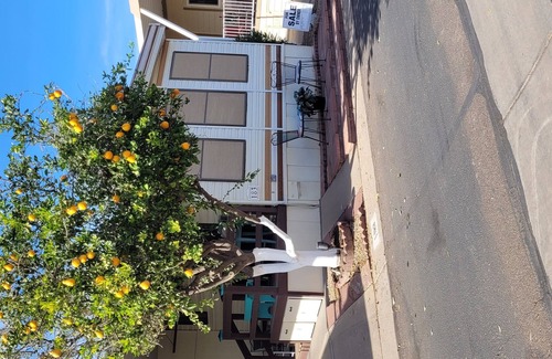 Apache Junction Resort | 1-BR in Upscale 55+resort - 2 pools, fitness, pickleball, rec ctr. 3 wk min