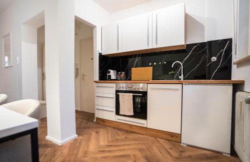 Wiesbaden Apartment | 1 BR Studio - ZENTRAL - TERRASSE - KÜCHE - WIFI - BUSINESS - RUHIG