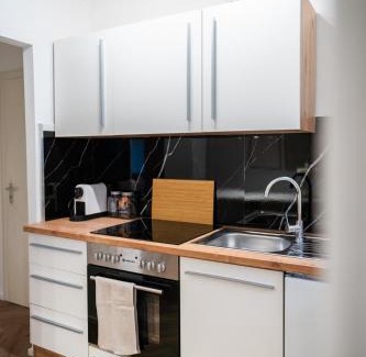 Wiesbaden Apartment | 1 BR Studio - ZENTRAL - TERRASSE - KÜCHE - WIFI - BUSINESS - RUHIG