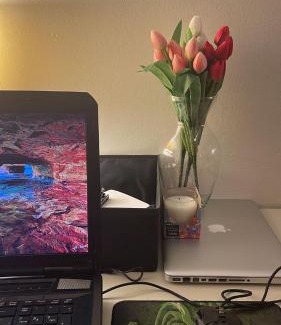 Clusane Apartment | Relaxing Retreat at 1 STEP ON THE LAKE - Pet Friendly Stay