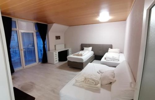Kaiserslautern Apartment | Cozy 1 Zimmer Apartment | Family & Pet Friendly Stay