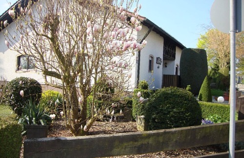 Wurding Apartment | Cozy 1-Bedroom Apartment with Terrace & Breakfast Included