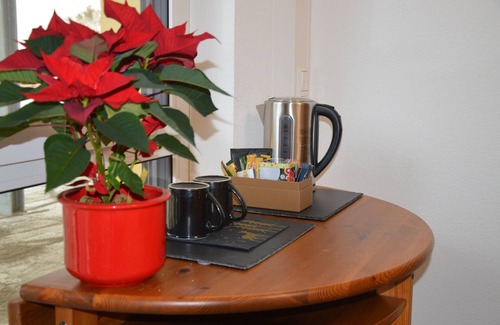 Singen Apartment | Cozy One-Room Apartment with Terrace near Lake Constance