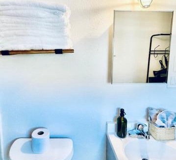 South Manchaca Apartment | 10 Beds, 2 Homes, Hot - Tub Near Downtown!