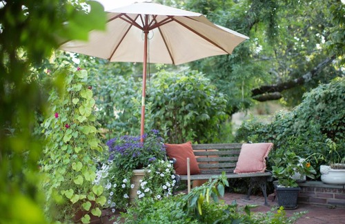 Frederick Bed & Breakfast | Experience 10 Clarke: Guest Rated Perfection & Pet Friendly