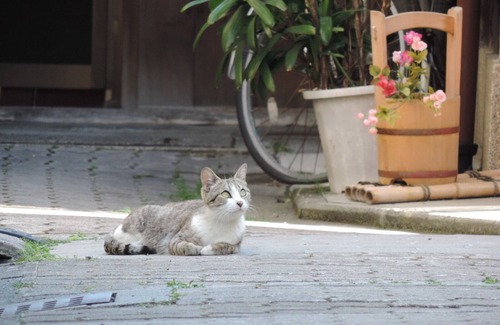 Sannenzaka Ninenzaka House | Discover Bairin-an: Ideal Retreat Near Gion with Spa