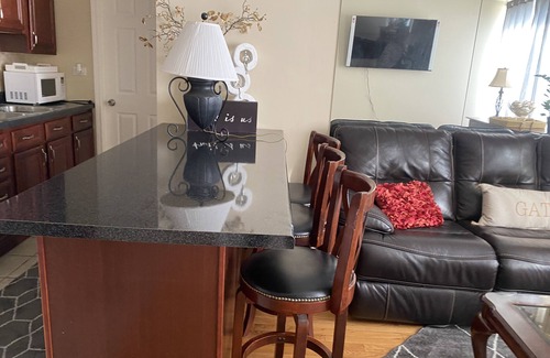 Rosemont Condo | Convenient Hotel Steps from Stevenson Convention Center