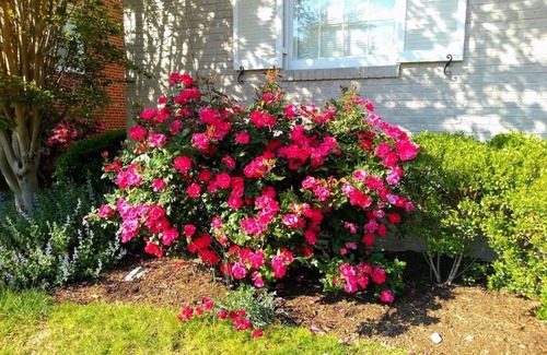 North Ridge House | Stylish Lilac House: Free Parking & Minutes to Smithsonian