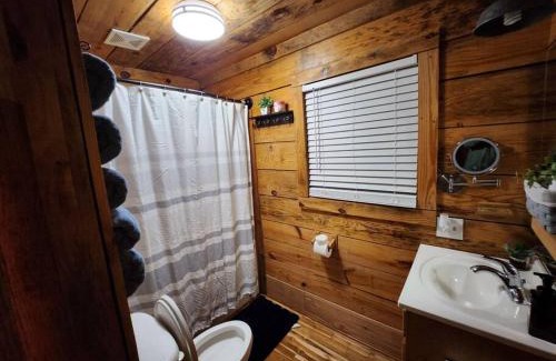 Guntersville Ski Chalet | Pet-Friendly Retreat at Swan Creek Cabin, Rated 8.5/10