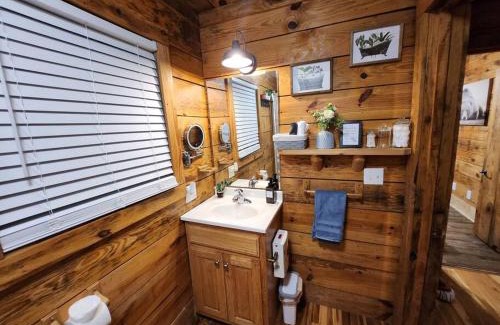 Guntersville Ski Chalet | Pet-Friendly Retreat at Swan Creek Cabin, Rated 8.5/10