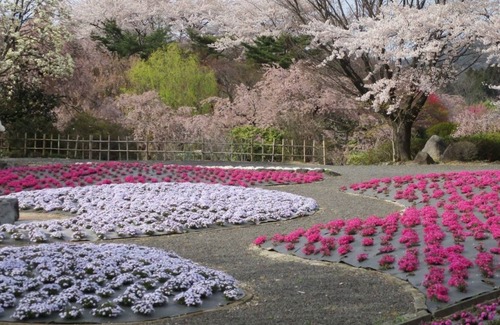 Fukushima House | Discover 10 Tatami Mats by the River or Mountains in Fukushima