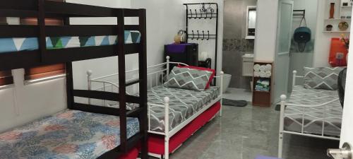 Santa Rosa House | Pet-Friendly Virtuoso: Ideal for Families and Explorers