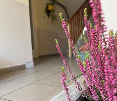 Szentes Bed & Breakfast | 12 m² Bed and breakfast ∙ 4 guests
