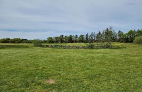Rødhus House | 12 person holiday home in Pandrup-By Traum